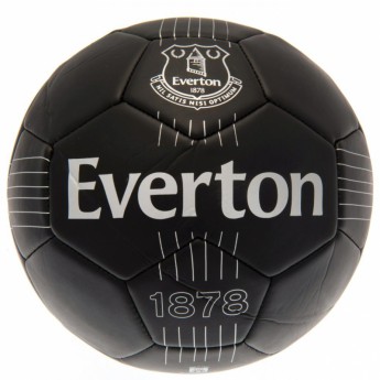 FC Everton balon de fotbal Skill Ball RT - size 5