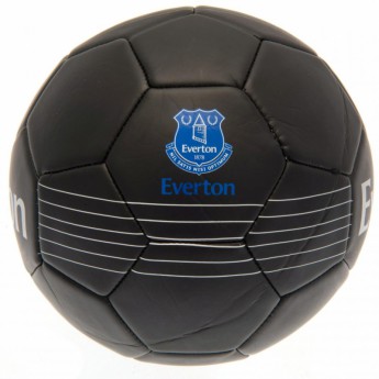 FC Everton balon de fotbal Skill Ball RT - size 5