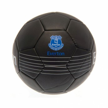 FC Everton mini balon de fotbal Skill Ball RT - size 1