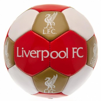 FC Liverpool set de fotbal water bottle - hand pump - size 3 ball