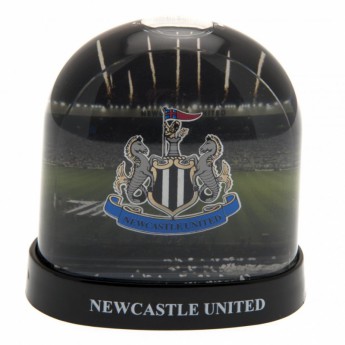 Newcastle United bulgăre de zapadă Stadium Snow Dome
