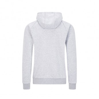 Red Bull Racing hanorac de bărbați cu glugă pull over grey F1 Team 2020