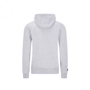Mercedes AMG Petronas hanorac de bărbați cu glugă logo hooded grey F1 Team 2020