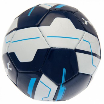 Tottenham Hotspur balon de fotbal Football VR - size 5