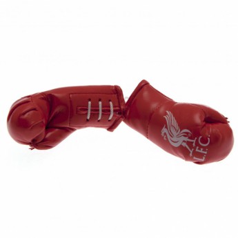 FC Liverpool mini manusi de box hanging red