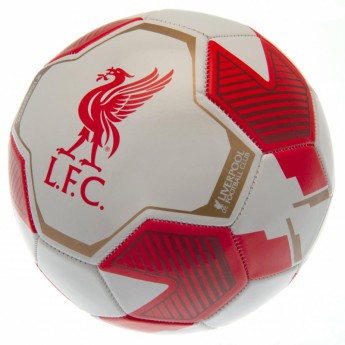 FC Liverpool balon de fotbal RW - size 5