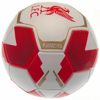 FC Liverpool balon de fotbal RW - size 5