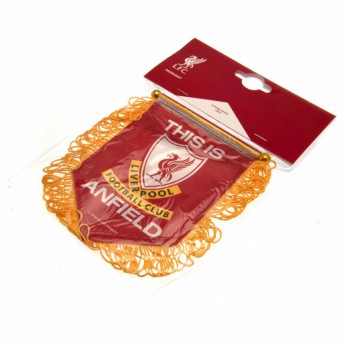 FC Liverpool steag Mini Pennant TIA yellow