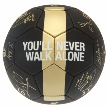FC Liverpool balon de fotbal Premier League Champions Football Signature PH - size 5