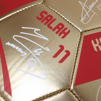 FC Liverpool balon de fotbal Premier League Champions Gold Signature Football - Size 5