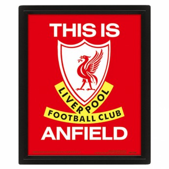 FC Liverpool poză în ramă 3D Picture