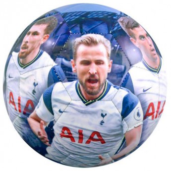 Tottenham Hotspur balon de fotbal players photo football