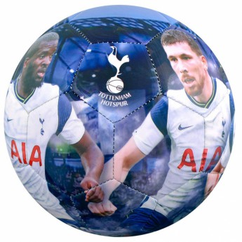 Tottenham Hotspur balon de fotbal players photo football