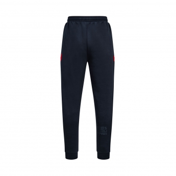 Red Bull Racing pantaloni de trening pentru bărbați logo navy F1 Team 2022