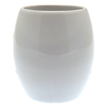 Tottenham Hotspur cană tea tub mug white