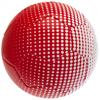Bayern München balon de fotbal Football FD