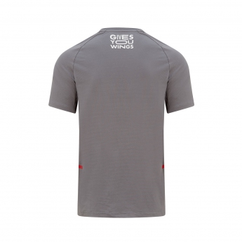 Red Bull Racing tricou de bărbați Tech grey T-shirt F1 Team 2022