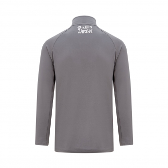 Red Bull Racing tricou de bărbați cu mânecă lungă Tech grey F1 Team 2022