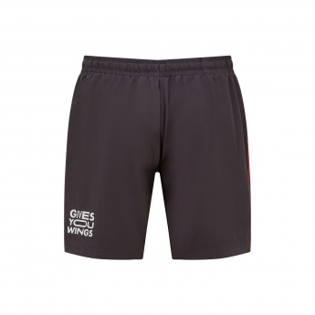 Red Bull Racing pantaloni scurți pentru bărbați Shorts tech gray F1 Team 2022
