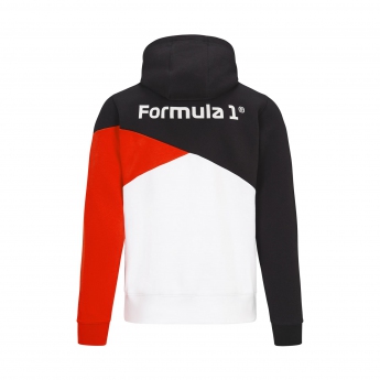 Formula 1 hanorac de bărbați cu glugă Cut and Sew F1 Team 2022