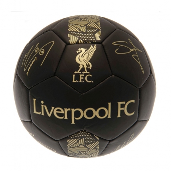FC Liverpool mini balon de fotbal Skill Ball Signature Gold PH size 1