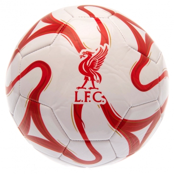 FC Liverpool balon de fotbal Football CW size 5