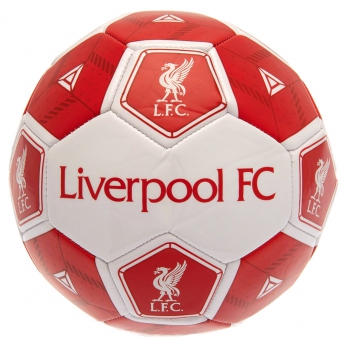 FC Liverpool mini balon de fotbal Football HX Size 3