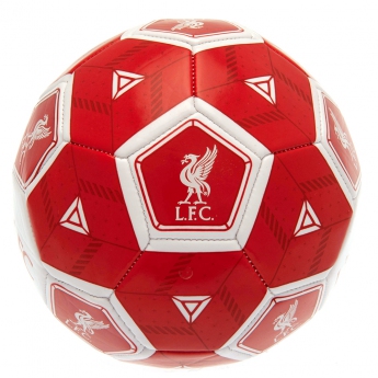 FC Liverpool mini balon de fotbal Football HX Size 3