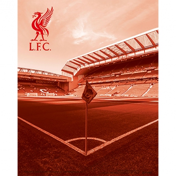 FC Liverpool Imagine 3D 3D Print