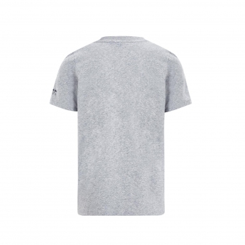Red Bull Racing tricou de bărbați CHECO 11 grey F1 Team 2022