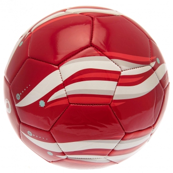 Echipa națională de fotbal balon de fotbal 2022 Phoenix Football size 5