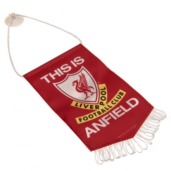 FC Liverpool steag Mini Pennant TIA white