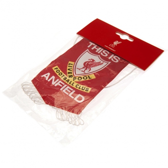 FC Liverpool steag Mini Pennant TIA white