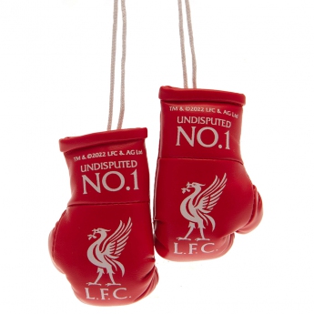 FC Liverpool mini manusi de box Mini Boxing Gloves RD