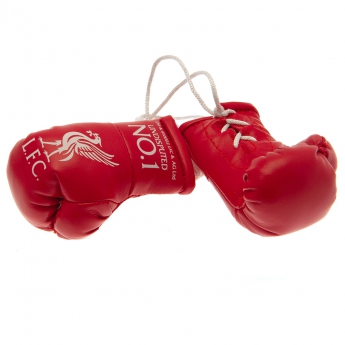 FC Liverpool mini manusi de box Mini Boxing Gloves RD