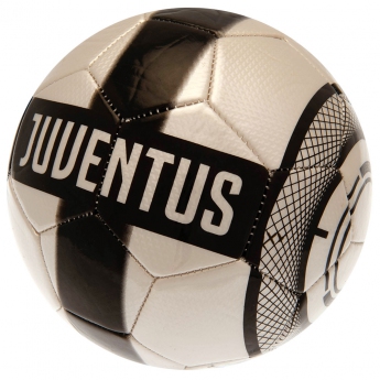 Juventus Torino balon de fotbal Football PR - Size 5