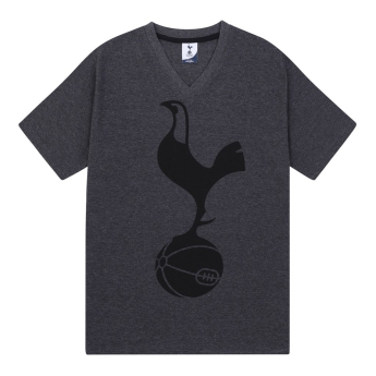 Tottenham Hotspur pijamale de bărbați grey
