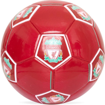 FC Liverpool balon de fotbal Folders