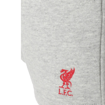 FC Liverpool pantaloni scurți de copii grey