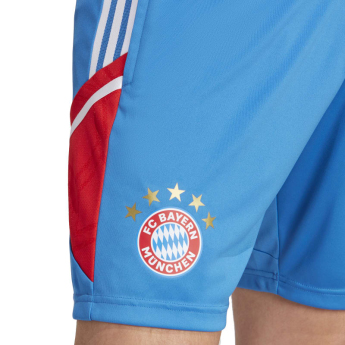 Bayern München pantaloni scurți de fotbal Training royal