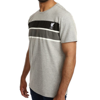 FC Liverpool tricou de bărbați Stripe grey