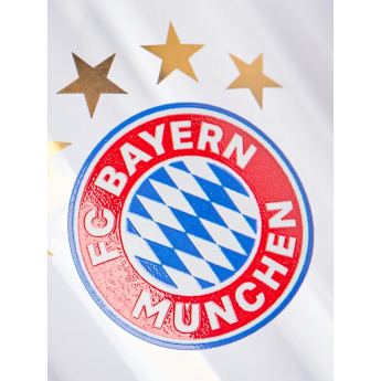 Bayern München set 2 figurine 5 stars logo