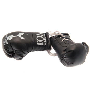 Tottenham Hotspur mini manusi de box No.1 text