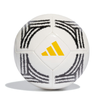 Juventus Torino balon de fotbal Club home
