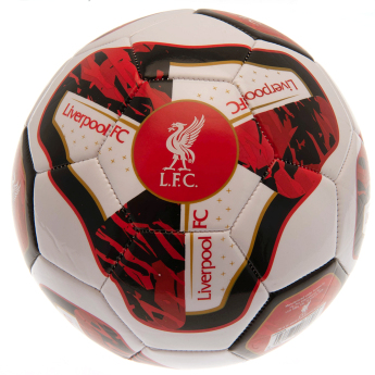 FC Liverpool balon de fotbal Football TR - Size 5