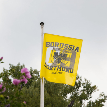 Borussia Dortmund drapel stadt logo