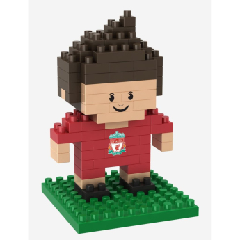FC Liverpool set de construcție 3D Player