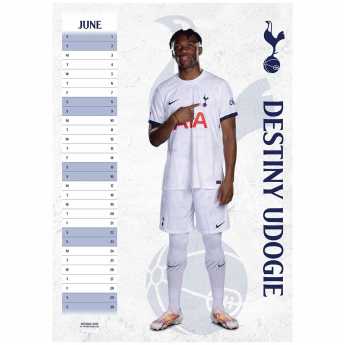 Tottenham Hotspur calendar 2024