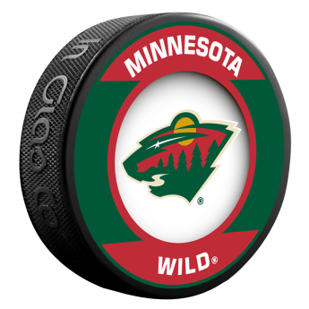 Minnesota Wild puc Retro