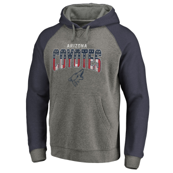 Arizona Coyotes hanorac de bărbați cu glugă grey Freedom Tri-Blend Raglan